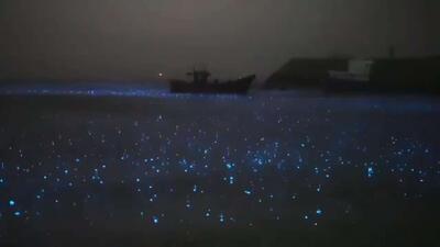  پدیده زیبا و جالبی در سواحل چین