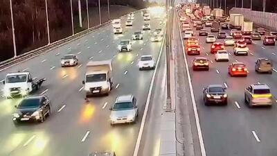  یک توله سگ در مسکو گم شد و در جاده کمربندی مسکو با یک خودرو تصادف کرد