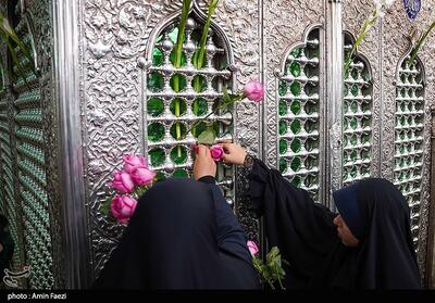  تشریح برنامه‌های روز دختر در فارس با محوریت نقش دختران در دفاع از وطن - تسنیم