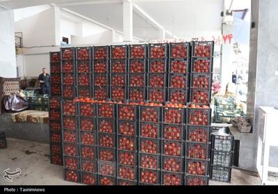  تأمین امنیت غذایی شیراز در شرایط جنگی - تسنیم