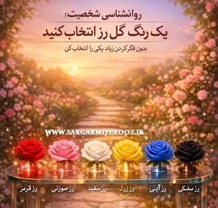  روانشناسی شخصیت : یک رنگ گل رز انتخاب کنید تا بگوییم در دوست داشتن چه شخصیتی دارید!