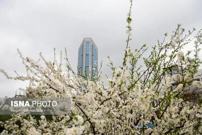  از این تاریخ، بارش در کشور فراگیر می‌شود