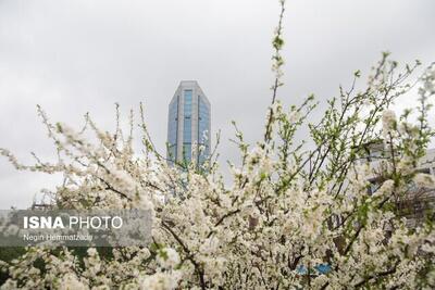  جوی پایدار در بیشتر مناطق کشور/پیش بینی بارش باران از فردا در اغلب مناطق