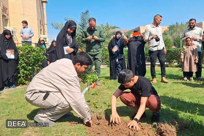  کاشت 11.5 میلیون نهال از آغاز جنگ؛ ادامه اجرای طرح یک میلیارد درخت