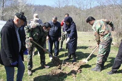 کاشت ۱۱.۵ میلیون نهال از آغاز جنگ