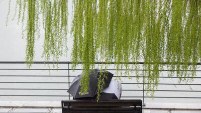  ورود سامانه بارشی از ظهر امروز به کشور