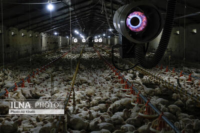  نامه سرگشاده فراکسیون کارگری مجلس به دولت پس از تعلل در ابلاغ مصوبه مزد سال جدید