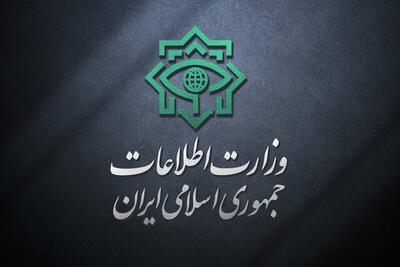  سرپرست وزارت اطلاعات: ارتش نقشی موثر در ناکام‌گذاشتن دشمن ایفا کرد