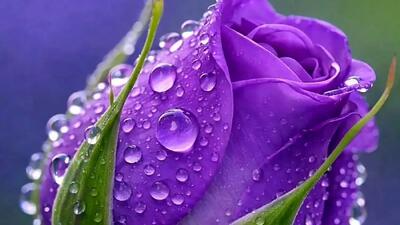  فال ابجد امروز 29 فروردین 1405