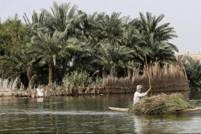  تالاب «شادگان» جان گرفت