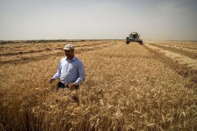  امنیت غذایی موضوعی فراتر از خودکفایی در تولید است