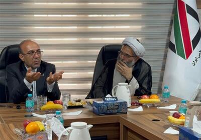  ترخیص  600 هزار تن کالا از گمرک قشم در جریان جنگ - تسنیم