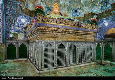  جلال و جبروت حضرت فاطمه(س) در حضرت معصومه(س) - تسنیم