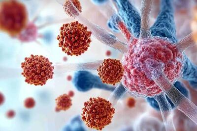  میکروب‌های روده عامل درمان یک سرطان شدند