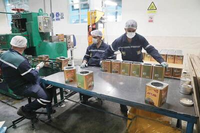  تضمین فعالیت پایدار صنایع در شرایط جنگی