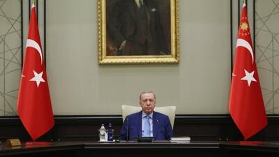  اردوغان استفاده از اسلحه در ترکیه را محدود می‌کند