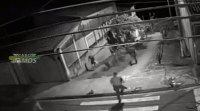  لحظات عجیب و بامزه؛ فرار همزمان شوهر، دزد و گربه!