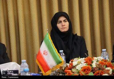  تسهیل‌گری در خرید تضمینی گندم اولویت اصلی استان زنجان - تسنیم