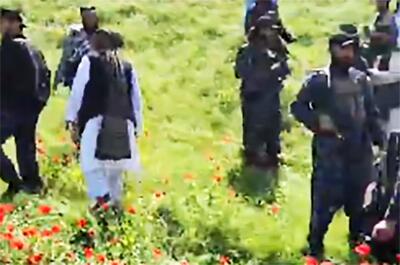  تصاویری از گشت‌وگذار اعضای طالبان در لاله‌زار
