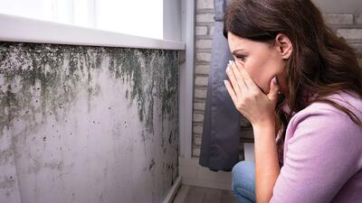  این علائم نشان  می دهد در اطرافتان کپک وجود دارد+ نحوه پیشگیری از آن در خانه