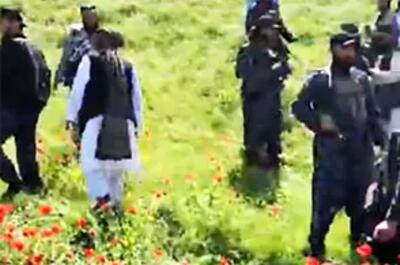  تصاویری از گشت‌وگذار اعضای طالبان در لاله‌زار/ویدیو