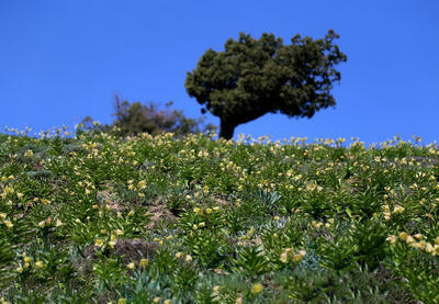  یک یادآوری به مناسبت روز جهانی زمین
