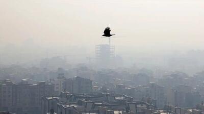  قرار گرفتن طولانی مدت در معرض آلودگی هوا خطر ابتلا به سرطان را 11 درصد افزایش می دهد