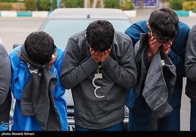  دستگیری سارقان 1600 بلوکه سیمانی و کشف 40 کیلو تریاک در خراسان جنوبی - تسنیم