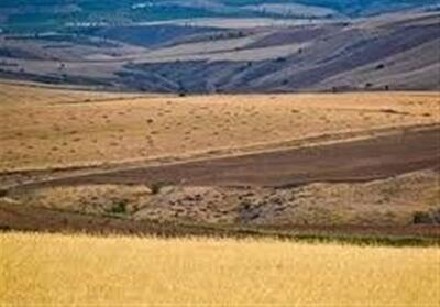  گام تازه برای پایداری تولید در دیمزارهای کردستان - تسنیم