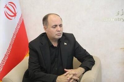  خبر مهم وزیر کشاوزی برای گندمکاران / قیمت گندم رسما اعلام شد