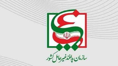  اطلاعیه سازمان پدافند غیرعامل کشور در پی انتشار خبر اعدام جاسوس موساد