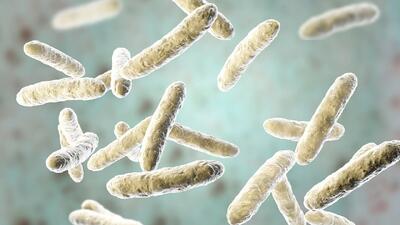  شناسایی سویه‌های خطرناک باکتری استاف با نانوذرات طلا و DNA