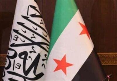 محاسبات دولت تحریرالشام با دیدن جنگ ایران با آمریکا و اسرائیل - تسنیم