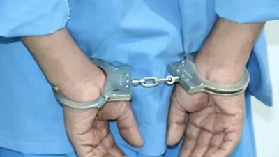  دستگیری عوامل مزاحمت و ارعاب شهروندان در تهرانپارس توسط پلیس اطلاعات