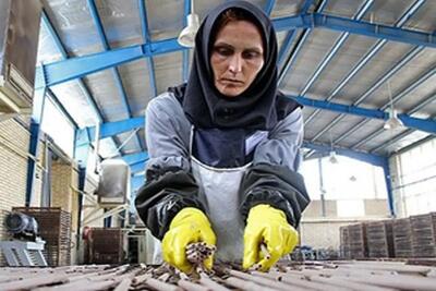  کارگران عدم اجرای بخشنامه دستمزد را گزارش دهند