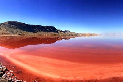  تصویری تازه و دلچسب از دریاچه صورتی شیراز