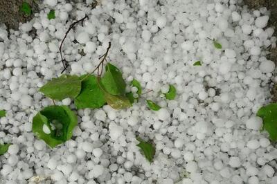  پیش‌بینی جوی پایدار و وزش باد در یزد