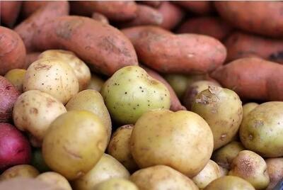  صادرات این کالا مجاز شد