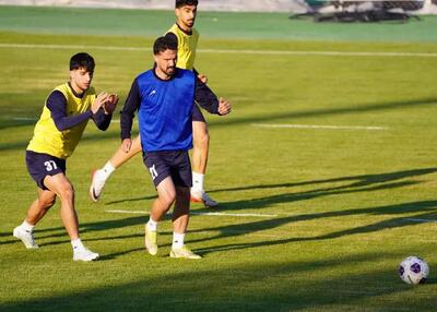  نورافکن در همه جا هست! (عکس)