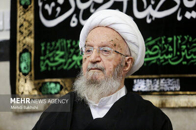  نظر آیت‌الله مکارم‌شیرازی درباره تشرف به حج امسال چیست؟