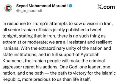  مرندی: ایران با وحدت متجاوز جنایتکار را پشیمان خواهد کرد - تسنیم