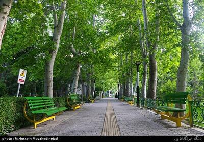  هوای تهران در وضعیت پاک - تسنیم