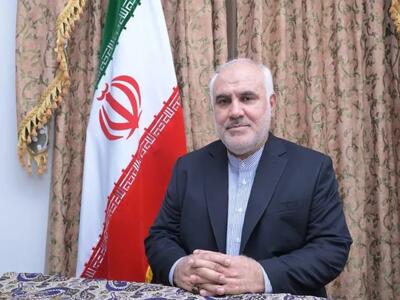  سفیر ایران درهند: تهران برای هر دو سناریوی جنگ و صلح آمادگی دارد