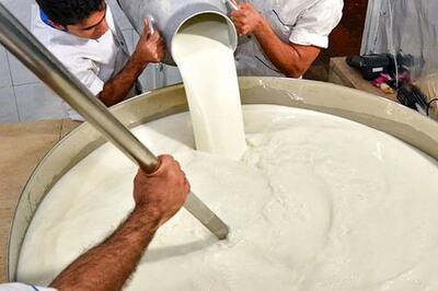  هشدار جدی برای مصرف لبنیات سنتی در فصل بهار