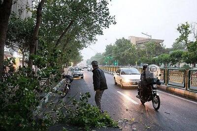  هشدار وزش باد و بارش باران در راه پایتخت