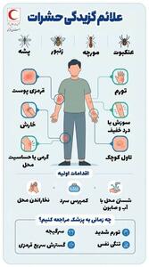  این علائم را در بدن جدی بگیرید؛ درچه شرایطی بعد از گزیدگی باید به پزشک مراجعه کرد؟