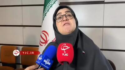  وعده دولت برای جبران خسارت صنایع