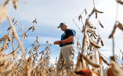  آتش جنگ علیه ایران در خرمن کشاورزی امریکا و اروپا