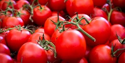  خواص جالب آب گوجه فرنگی که نمی دانستید