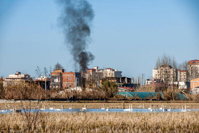  محیط زیست؛ سانتی‌مانتالیسم یا ضرورت؟